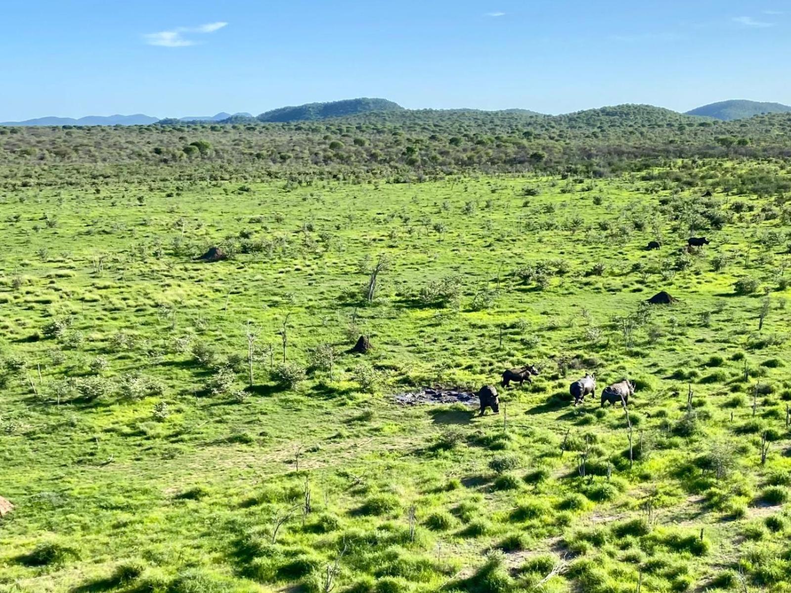 Kifaru Bush Camp Hotel Outjo Bagian luar foto